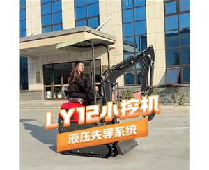 LY12小挖機使用視頻